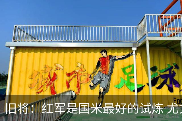 旧将：红军是国米最好的试炼 尤文失去C罗问题大